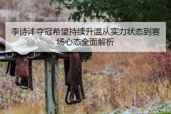 李诗沣夺冠希望持续升温从实力状态到赛场心态全面解析